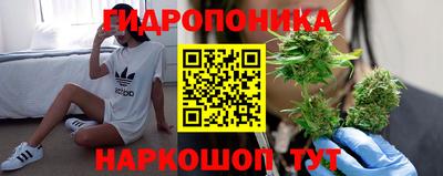 PSILOCYBIN Волжский