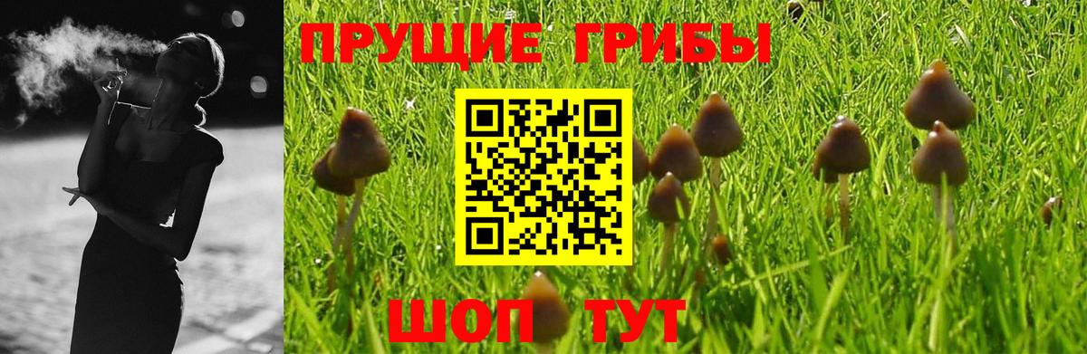 Галлюциногенные грибы GOLDEN TEACHER Ржев